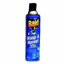 Raid Wasp & Hornet Killer