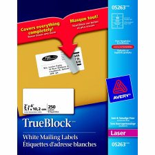 Avery Address Labels with TrueBlock, 4" x 2"