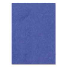 Pacon® 4-Ply Railroad Board, Dark Blue