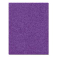 Hilroy Bristol Board, 22" x 28", Purple