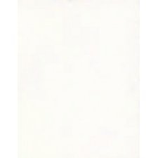 Hilroy Bristol Board, 22" x 28", White