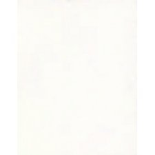 Pacon® 4-Ply Railroad Board, White