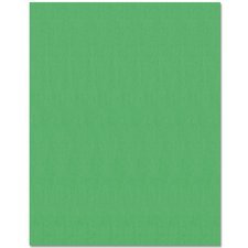 Bristol Board, 22" x 28", Emerald Green