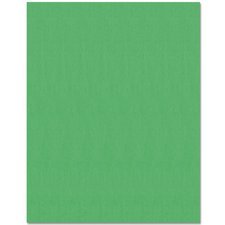 Bristol Board, 22" x 28", Emerald Green