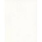 Pacon® 4-Ply Railroad Board, White
