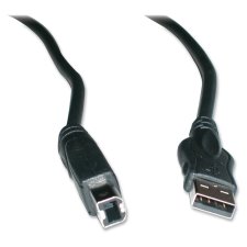 Exponent USB 2.0 Cable, 6'