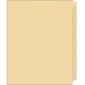 Single Alpha Litigation Tabs, Legal E