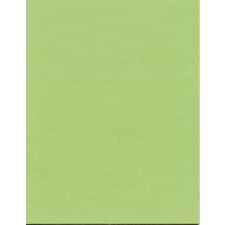 Bristol Board - Light Green