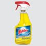 Windex Anti-Bacterial Multi-Surface Cleaner
