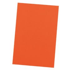 Bristol Board, 9 x 12 Orange