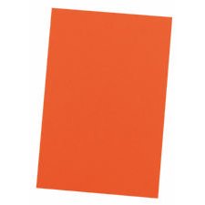 Bristol Board, 9" x 12" Orange