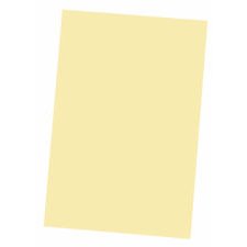 Bristol Board, 9" x 12" Buff