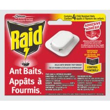 Raid Ant Baits