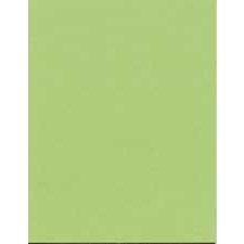 Bristol Board, 22" x 28", Light Green