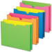 Pendaflex File Jackets, Letter Assorted Neon
