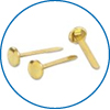 Brass Head Fasteners