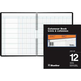 Blueline A767 Series Columnar Books, 12 Columns