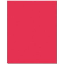 Fierro Bristol Board, 22" x 28", Red