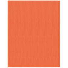 Fierro Bristol Board, 22" x 28", Orange