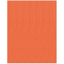 Fierro Bristol Board, 22" x 28", Orange