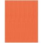 Fierro Bristol Board, 22" x 28", Orange