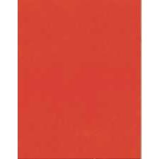 Pacon® 4-Ply Railroad Board, Orange
