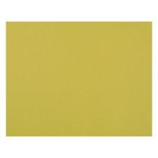 Pacon 4-Ply Railroad Board, Lemon Yellow, 22" x 28", 25/pkg