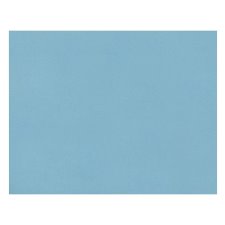 Pacon 4-Ply Railroad Board, Light Blue, 22" x 28", 25/pkg