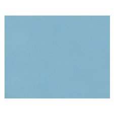 Pacon 4-Ply Railroad Board, Light Blue, 22" x 28", 25/pkg