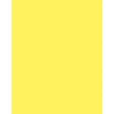 Neon Coated Poster Board, Neon?Yellow, 22" x 28, 25/pkg