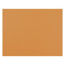 Pacon 4-Ply Railroad Board, Orange, 22" x 28", 25/pkg