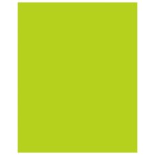 Neon Coated Poster Board, Neon Lime, 22" x 28, 25/pkg