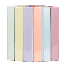 1" Pastel Customizer Binder