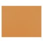 Pacon 4-Ply Railroad Board, Orange, 22" x 28", 25/pkg