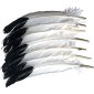 Creativity Street Imitation Eagle Feathers