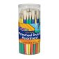 Plastic Handle Brush Classroom Packs, Preschool Brush Assortment