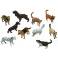 Get Ready Kids Economy Pets