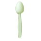 Compostable Teaspoon, Nautral, 1000/cse