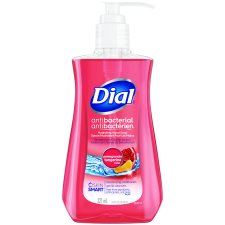Dial Antibacterial Hydrating Hand Wash, Pomegranate & Tangerine, 221ml