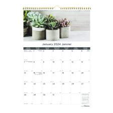 Blueline® Succulent Plants Wall Calendar, 12" x 17", Bilingual