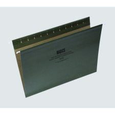 Basics Coloured Hanging File Folders, Letter, Green, 50/bx