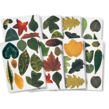 Crafty Leaves