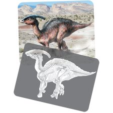 Discover Dinosaurs Picture Cards and X-rays
