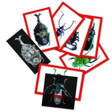 Insect X-Ray and Picture Cards