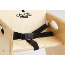 Chairries Seat Belt Kit