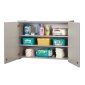 Rainbow Accents Lockable Wall Cabinet, Gray