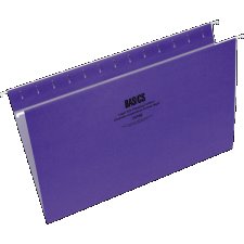 Basics® Coloured Hanging Folders, Legal, Violet, 25/box
