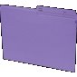 Basics Coloured Reversible File Folders, Letter, Violet, 100/box
