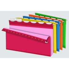 Pendaflex® Ready-Tab® Extra Capacity Hanging Folders with Lift Tab®, 2", Legal, Assorted Colours, 20
