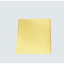 Numerical Legal Exhibit Dividers #24, 25/pkg